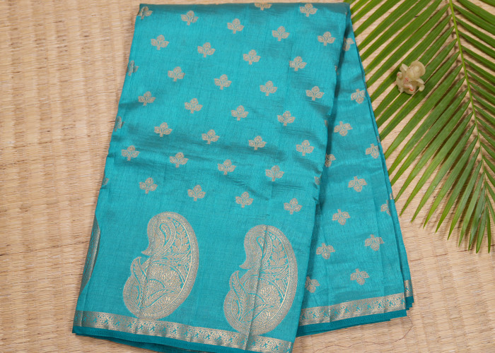 Exclusive collection VS ES002