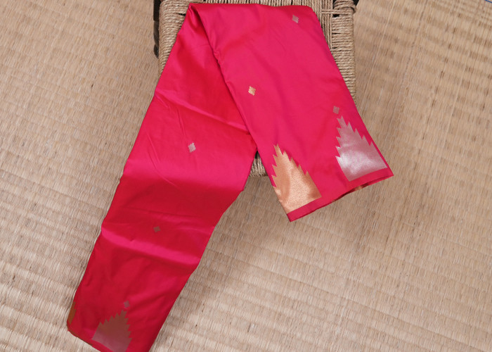 friendly budjet sarees VS FS001