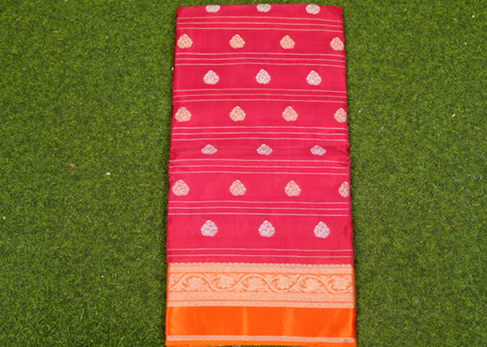 Gap border Saree VS OW0025