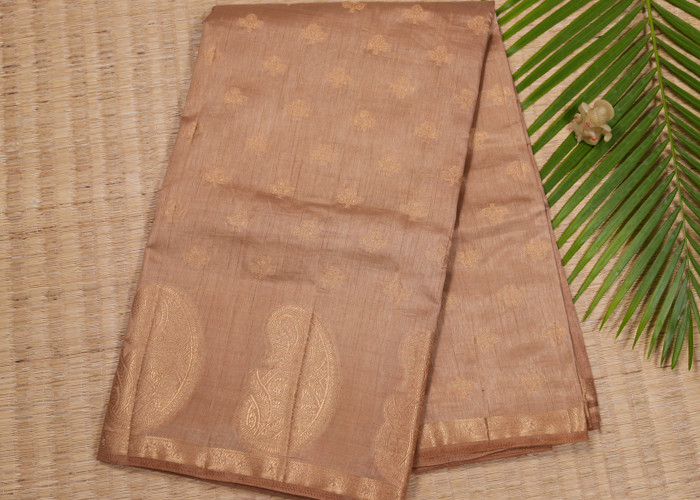 Exclusive collection VS ES001