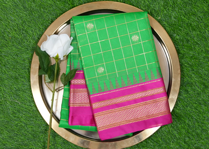 Gadwal fancy VS GS001
