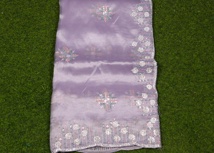 Tissue work sarees VS TS0022