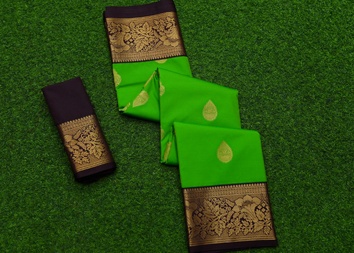 Gap Border pattu VS SS0014