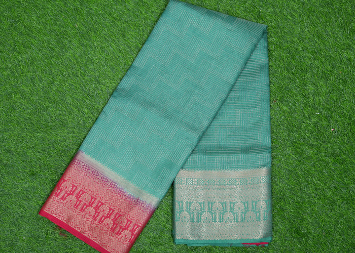 friendly budjet sarees VS FB005
