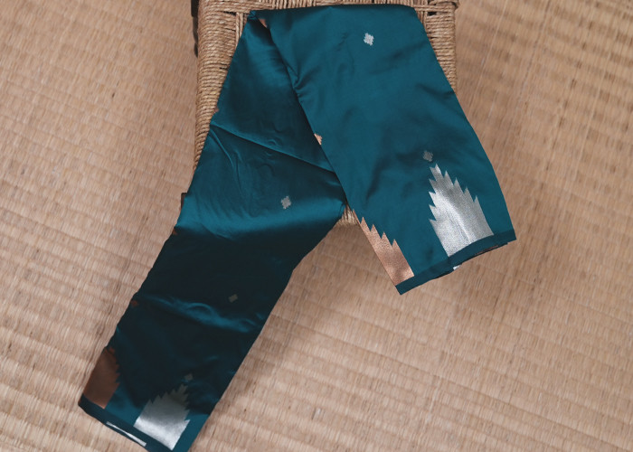 friendly budjet sarees VS FS004