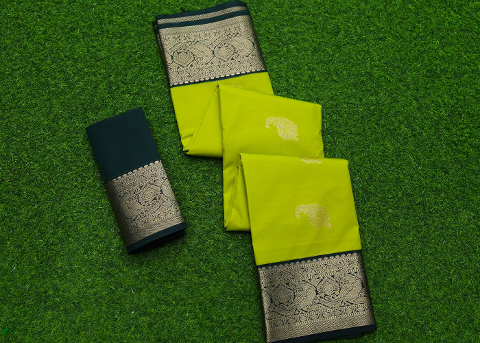 Gap Border pattu VS SS0019