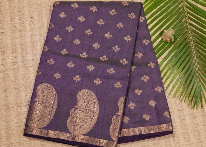 Exclusive collection VS ES006