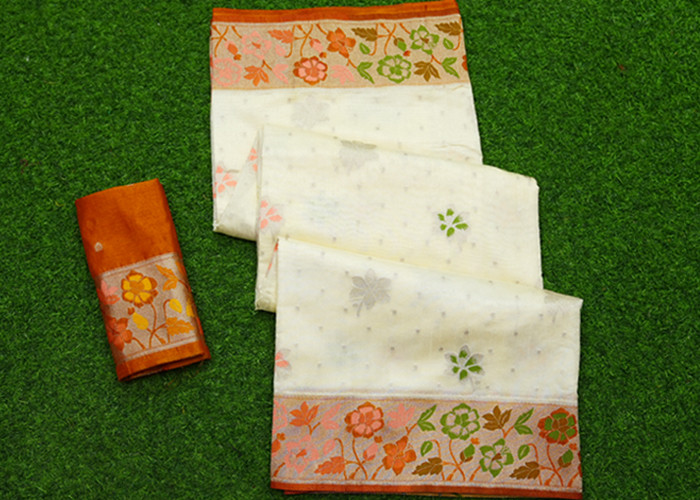 New Collection VS NS0017