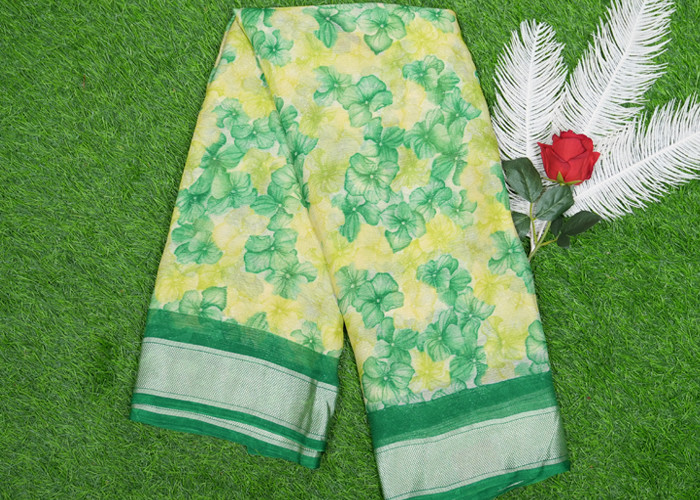 Chiffon sarees VS CS003