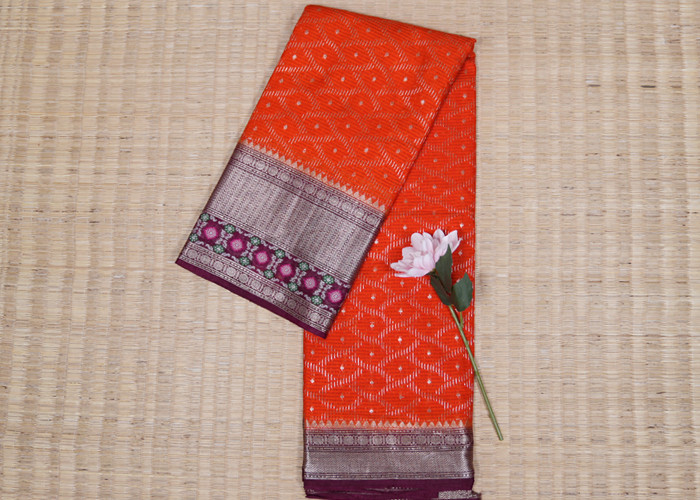 New collection Sarees VS NS008