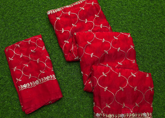 Designer sarees VD DS005